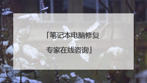 笔记本电脑修复专家在线咨询