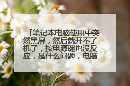 笔记本电脑使用中突然黑屏,然后就开不了机了,按电源键也没反应,是什么问题,电脑显示灯如图?