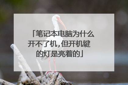 笔记本电脑为什么开不了机,但开机键的灯是亮着的
