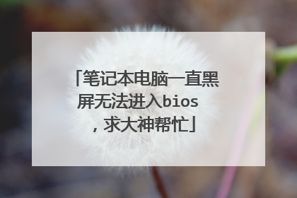 笔记本电脑一直黑屏无法进入bios,求大神帮忙