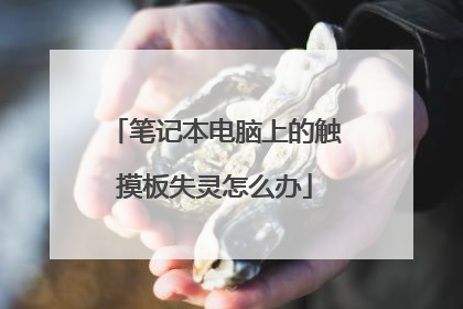 笔记本电脑上的触摸板失灵怎么办