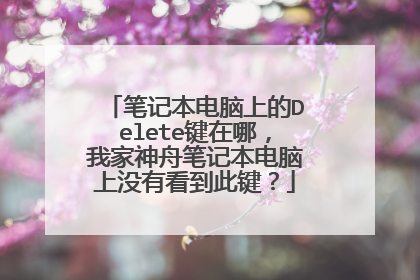 笔记本电脑上的Delete键在哪,我家神舟笔记本电脑上没有看到此键?