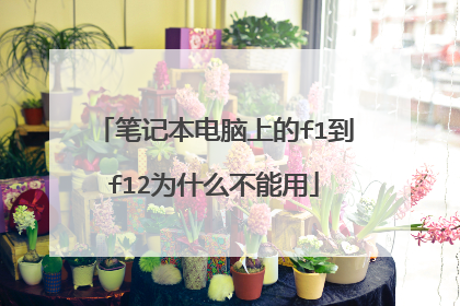 笔记本电脑上的f1到f12为什么不能用