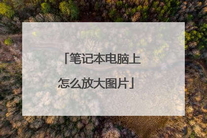 笔记本电脑上怎么放大图片