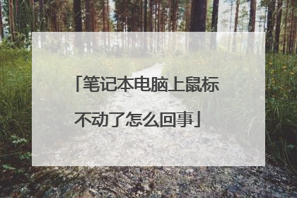 笔记本电脑上鼠标不动了怎么回事