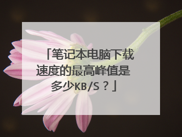 笔记本电脑下载速度的最高峰值是多少KB/S？
