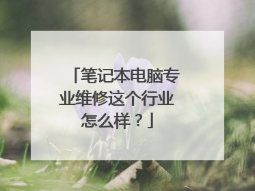 笔记本电脑专业维修这个行业怎么样?