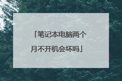 笔记本电脑两个月不开机会坏吗