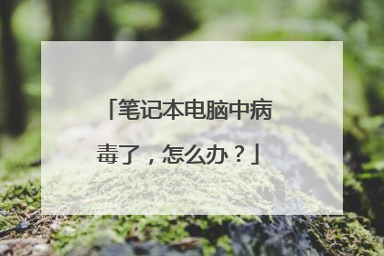 笔记本电脑中病毒了,怎么办?