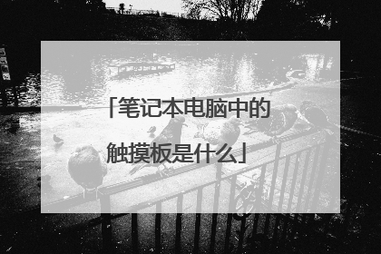 笔记本电脑中的触摸板是什么