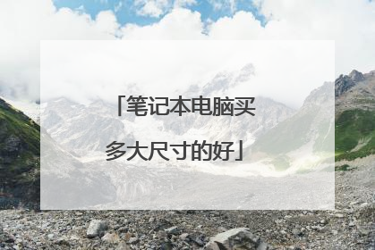 笔记本电脑买多大尺寸的好