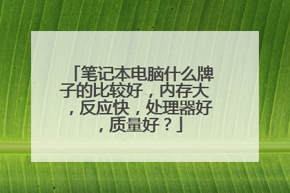 笔记本电脑什么牌子的比较好,内存大,反应快,处理器好,质量好?