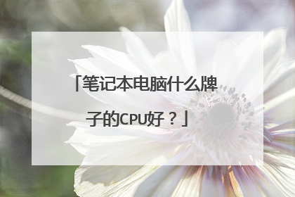 笔记本电脑什么牌子的CPU好?