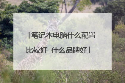 笔记本电脑什么配置比较好 什么品牌好