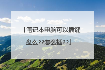 笔记本电脑可以插键盘么??怎么插??