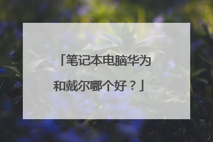 笔记本电脑华为和戴尔哪个好?