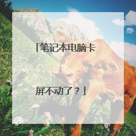 笔记本电脑卡屏不动了？