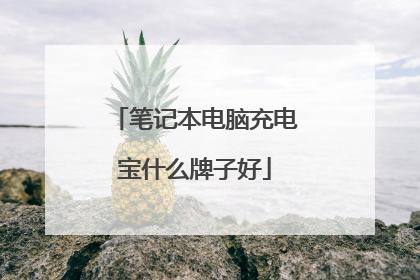 笔记本电脑充电宝什么牌子好