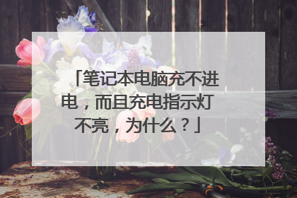 笔记本电脑充不进电,而且充电指示灯不亮,为什么?
