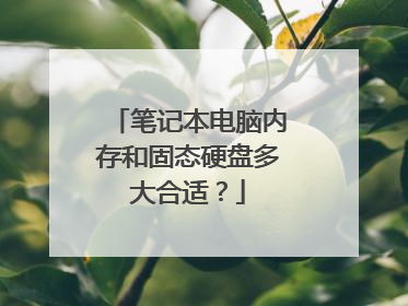 笔记本电脑内存和固态硬盘多大合适？