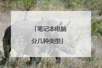 笔记本电脑分几种类型