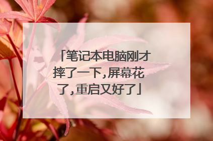 笔记本电脑刚才摔了一下,屏幕花了,重启又好了