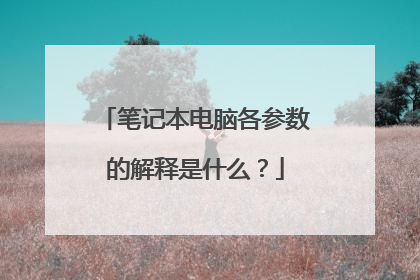 笔记本电脑各参数的解释是什么?
