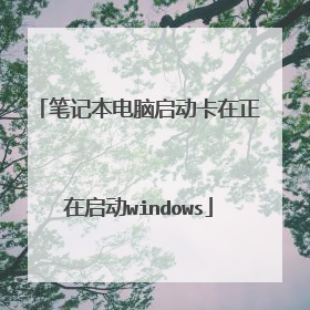 笔记本电脑启动卡在正在启动windows