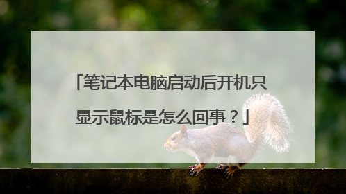 笔记本电脑启动后开机只显示鼠标是怎么回事？