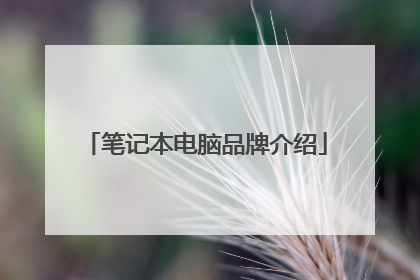 笔记本电脑品牌介绍