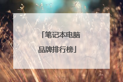 笔记本电脑品牌排行榜