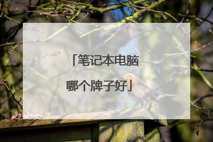 笔记本电脑哪个牌子好
