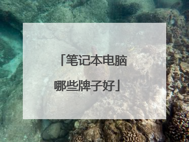 笔记本电脑哪些牌子好