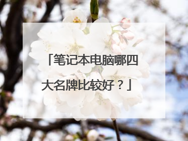 笔记本电脑哪四大名牌比较好?