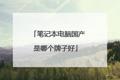 笔记本电脑国产是哪个牌子好