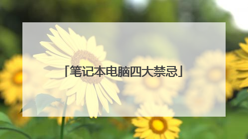 笔记本电脑四大禁忌