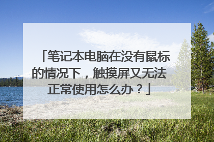 笔记本电脑在没有鼠标的情况下，触摸屏又无法正常使用怎么办？