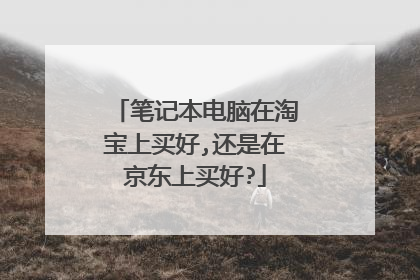 笔记本电脑在淘宝上买好,还是在京东上买好?