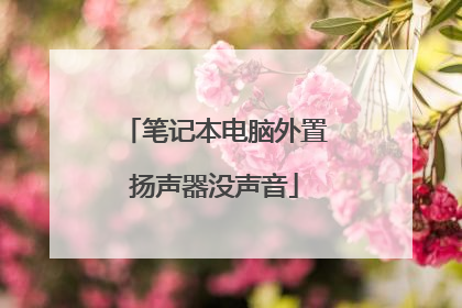 笔记本电脑外置扬声器没声音