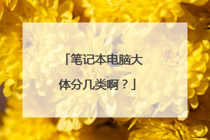 笔记本电脑大体分几类啊?