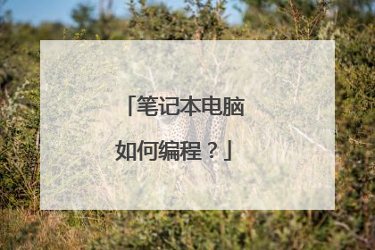 笔记本电脑如何编程?