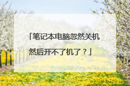 笔记本电脑忽然关机然后开不了机了?