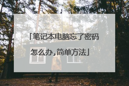 笔记本电脑忘了密码怎么办,简单方法