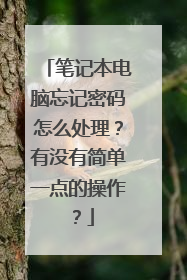 笔记本电脑忘记密码怎么处理?有没有简单一点的操作?