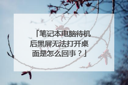 笔记本电脑待机后黑屏无法打开桌面是怎么回事？