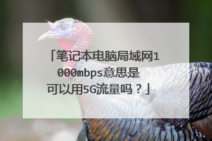 笔记本电脑局域网1000mbps意思是可以用5G流量吗?