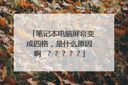 笔记本电脑屏幕变成四格，是什么原因啊 ？？？？？
