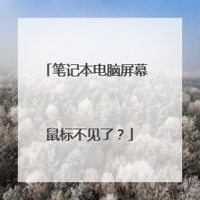 笔记本电脑屏幕鼠标不见了？