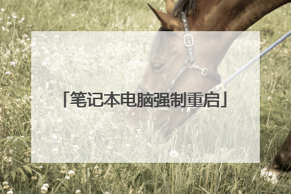 笔记本电脑强制重启
