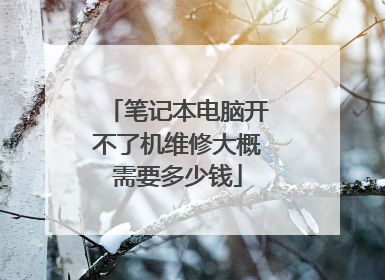 笔记本电脑开不了机维修大概需要多少钱